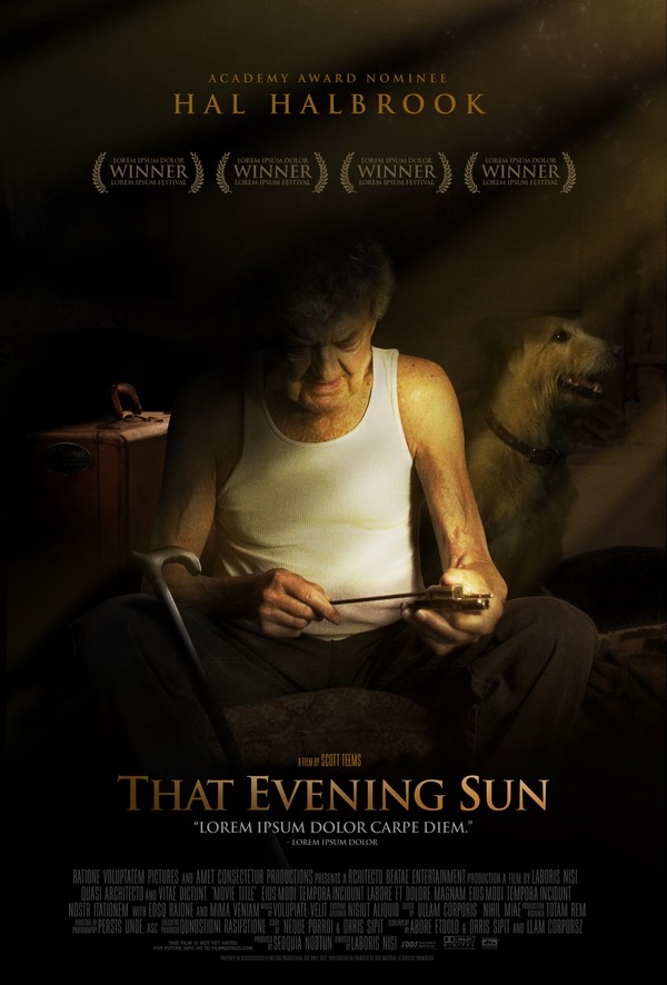 Film Večerní slunce