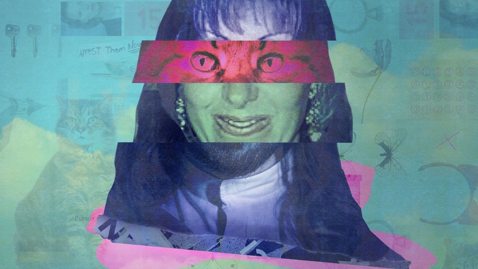 The best american new crime from year 2026 online