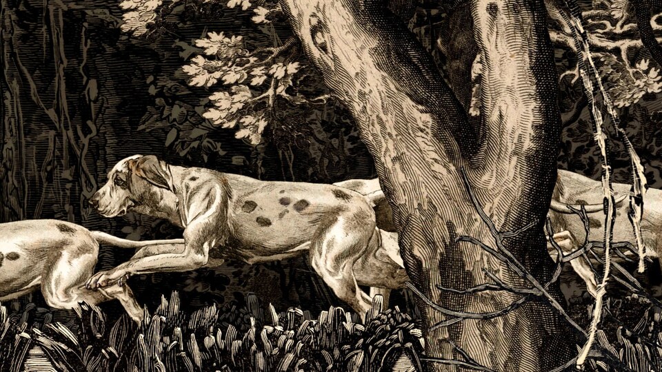 I Was Crying Out Against Life, or for Life