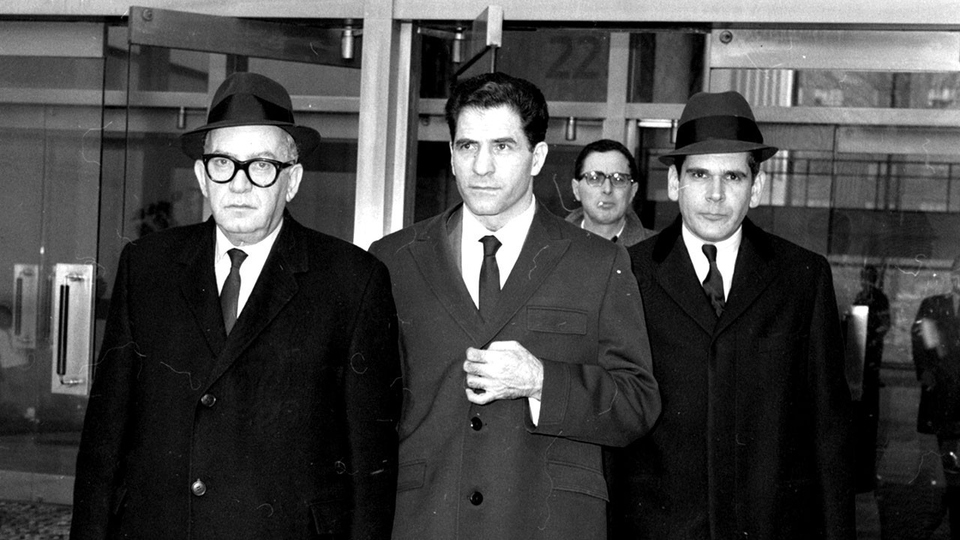 Serije  U američkoj mafiji: Šira slika