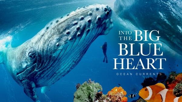 Into the Big Blue Heart: Ocean Currents