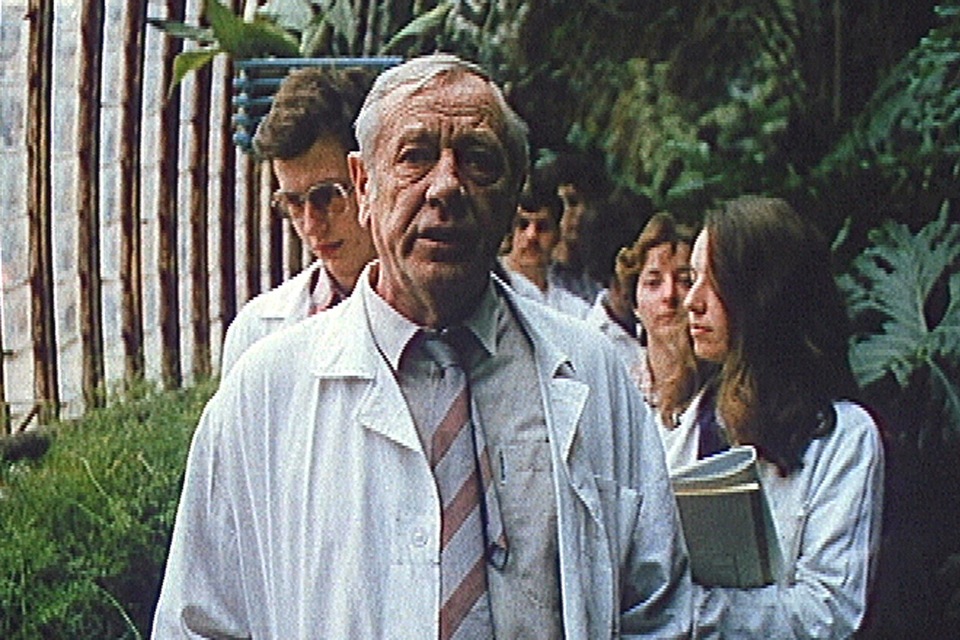 Nejlepší slovenské dramatické filmy z roku 1987 online