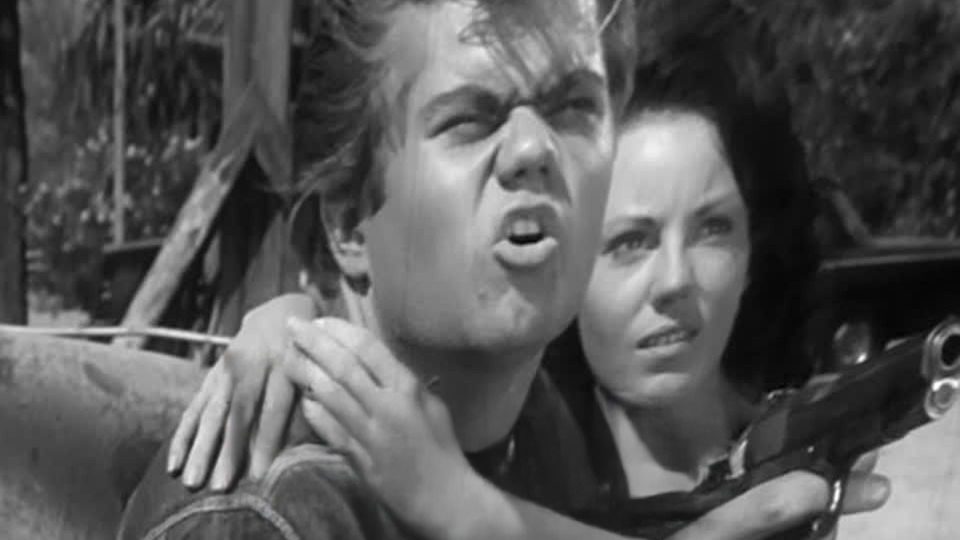 Film Sadist