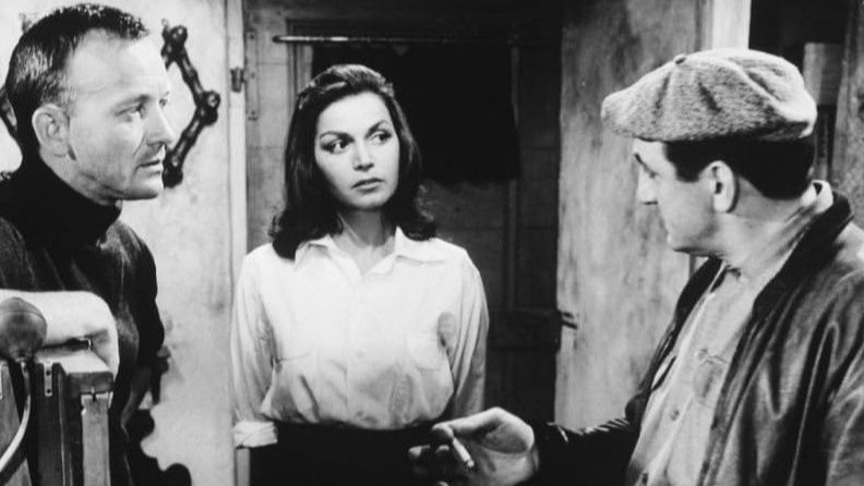 The best german movies from 50's online