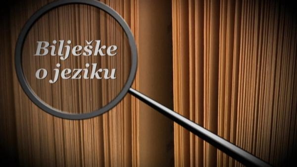 Bilješke o jeziku: U potrazi za standardom