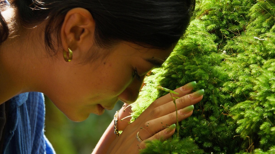 Najbolji američki novi priroda iz godine 2024 online