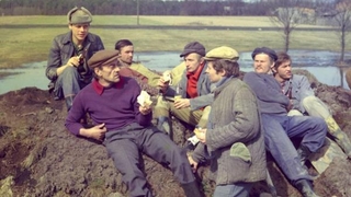 Daleko od szosy| (5/7)