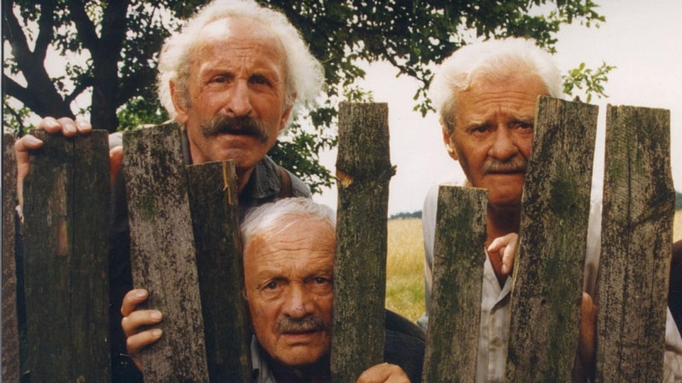 Найкращі польські фільми з року 1995 онлайн