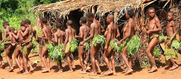 Pygmejovia - deti džungle