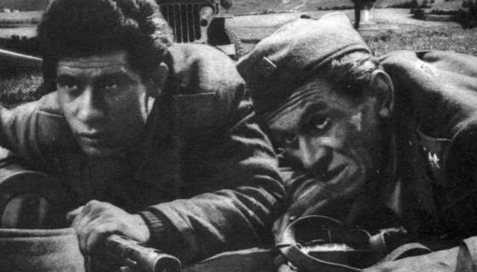 Film Tam za lesem