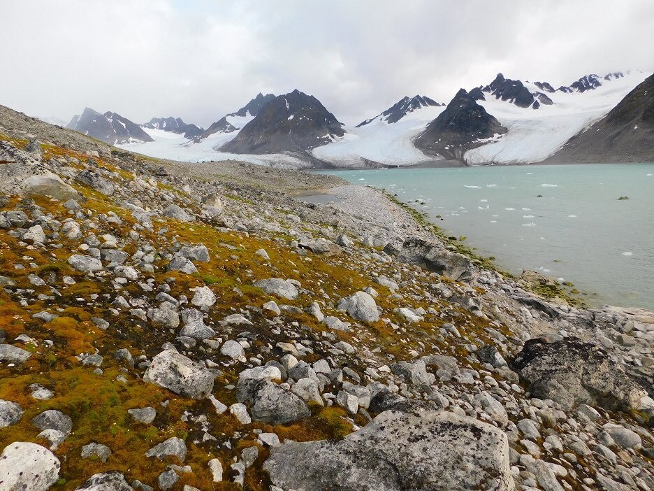 Dokument Grónsko: Přežití na konci světa