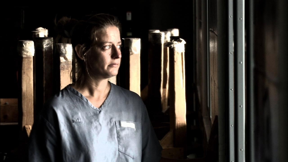 Najlepsze serial paradokumentalny online
