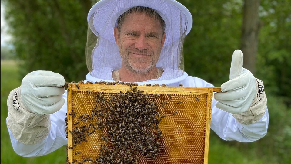 Serije  Tajni život pčela sa Steveom Backshallom