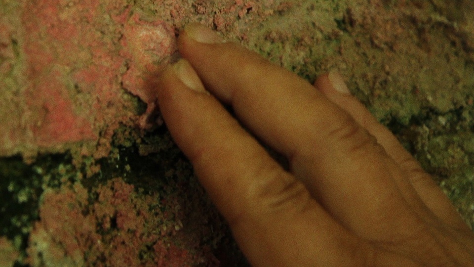 Найкращі французькі документальні фільми з року 2016 онлайн