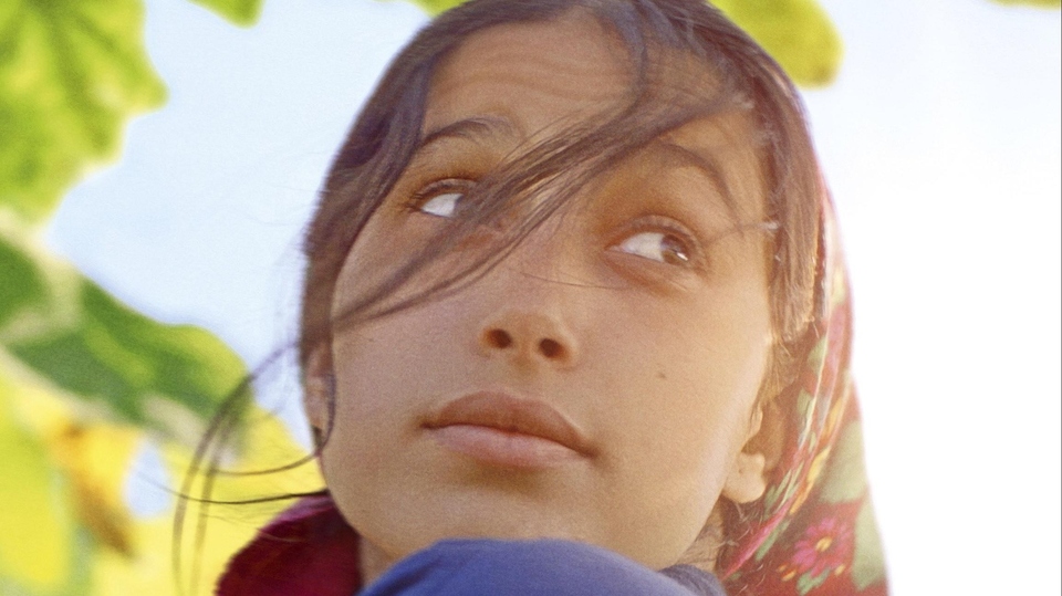 Tunisko: najlepšie filmy online