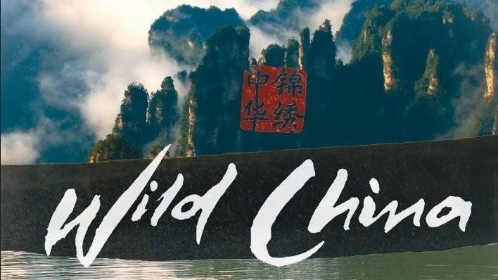 Dokument Dzikie Chiny