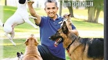 Cesar Millan: Zaklinacz psów