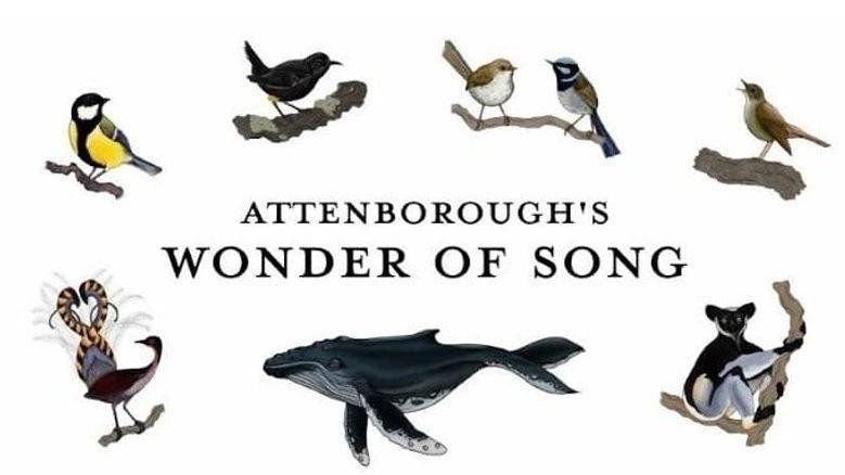 Dokument David Attenborough i głosy natury