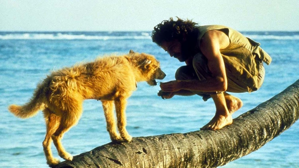Film Crusoe