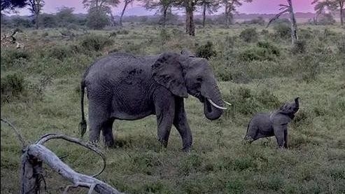 The best american adventures from year 2023 online