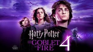Harry Potter a Ohnivý pohár