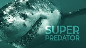 Superpredátor