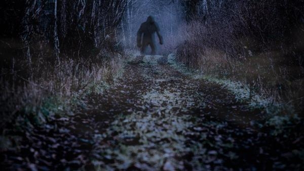 Finding Bigfoot: The Search Continues