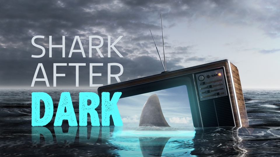 Film Shark After Dark