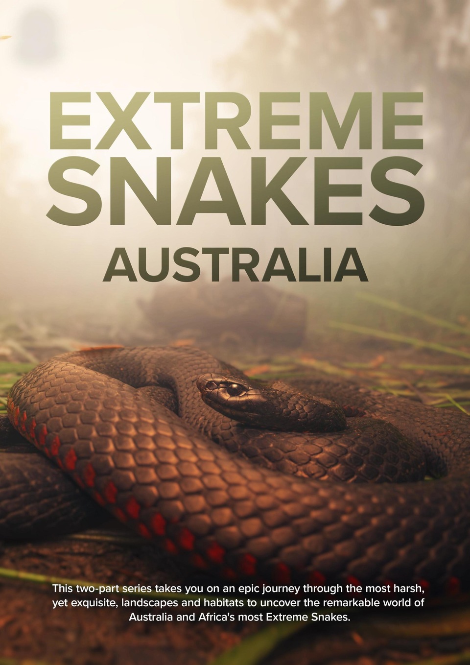 The best australian natural world online