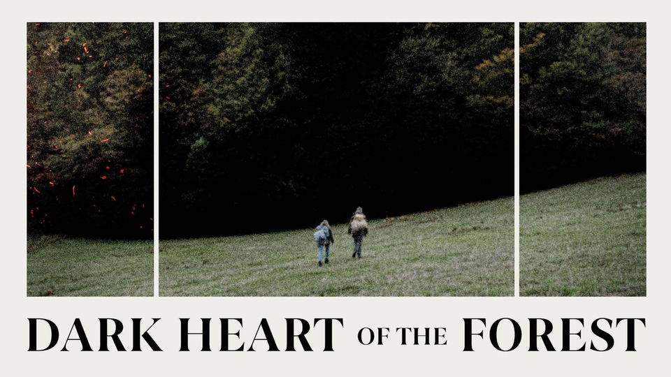 Film Dark Heart of the Forest