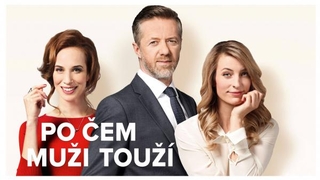 Po čem muži touží