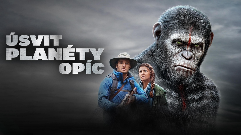Najlepšie akčné filmy z roku 2014 online