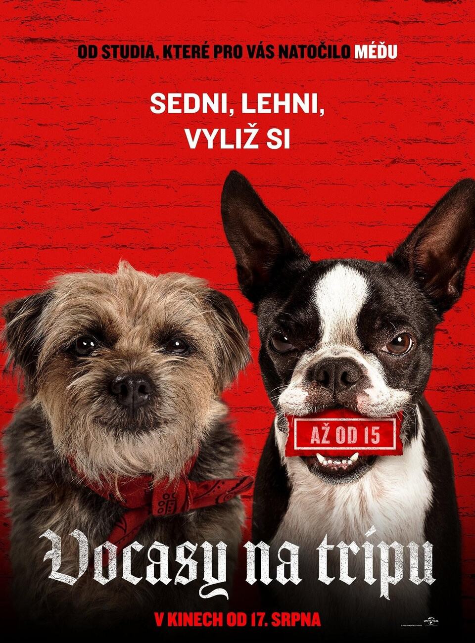 Фільм Strays