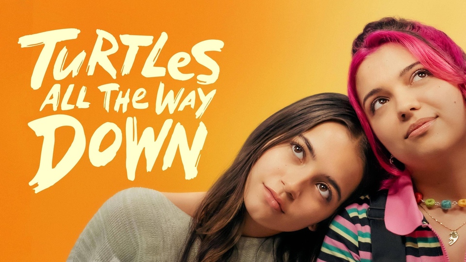 Film Turtles All the Way Down