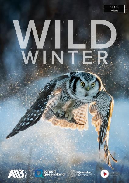 Wild Winter