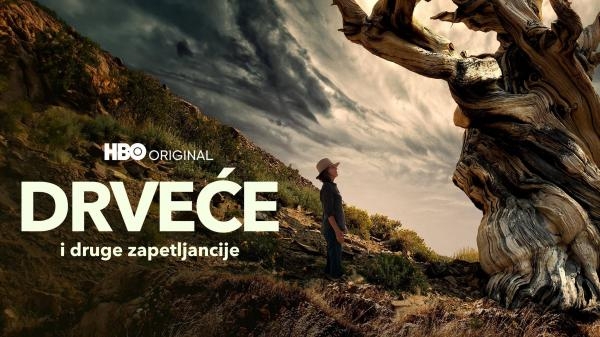 Drveće i druge zapetljancije