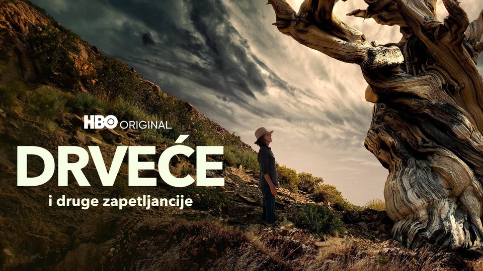 Dokumentarci Drveće i druge zapetljancije