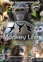 Monkey Life