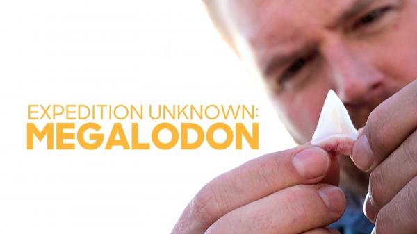 Expedition Unknown: Megalodon