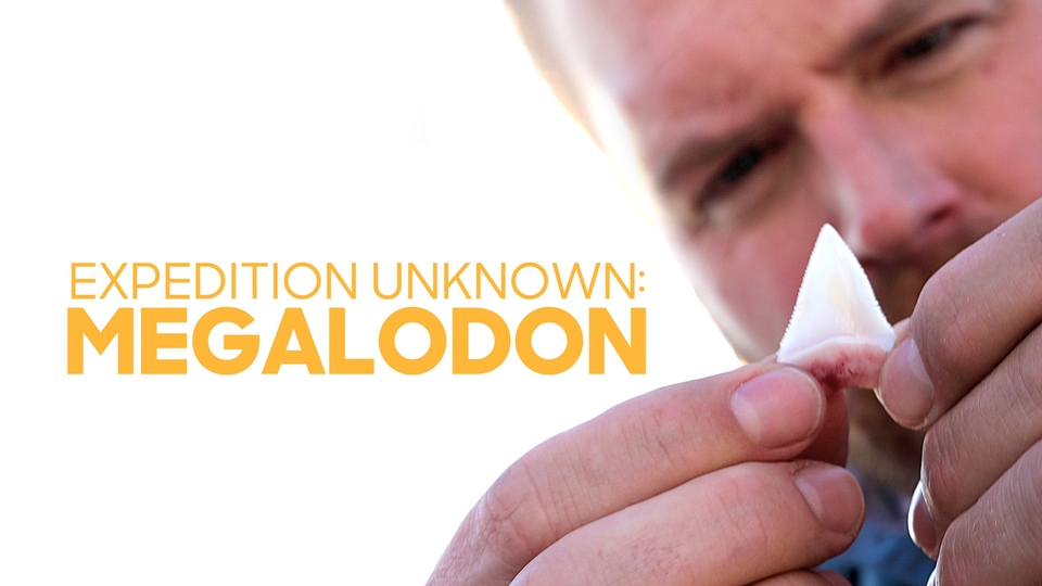 Film Expedition Unknown: Megalodon