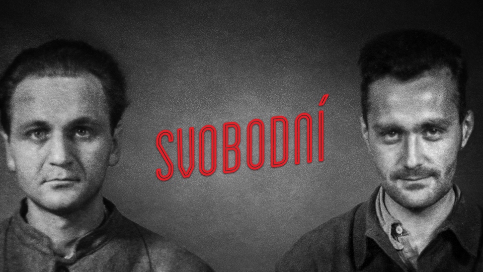Dokument Svobodní