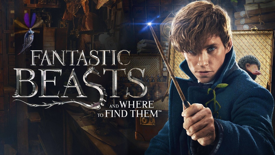 Film Fantastic Beasts and Where to Find Them