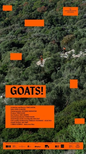 Goats !