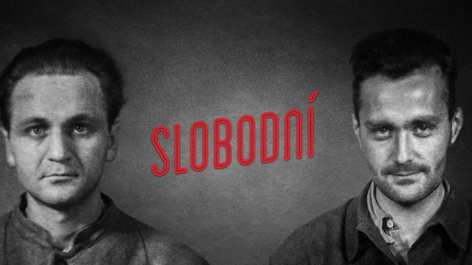 Документ Slobodn