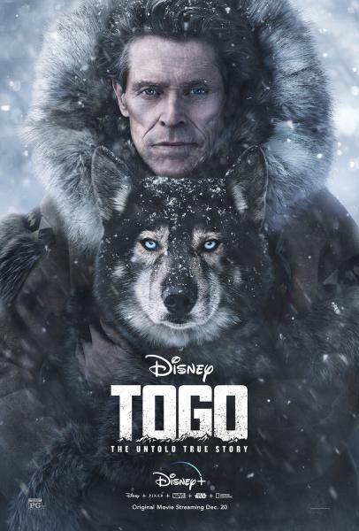 Togo: Příběh psí odvahy