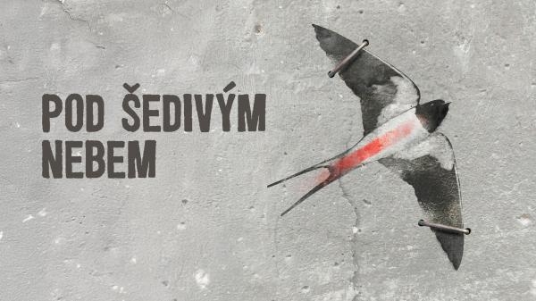 Pod šedivým nebem