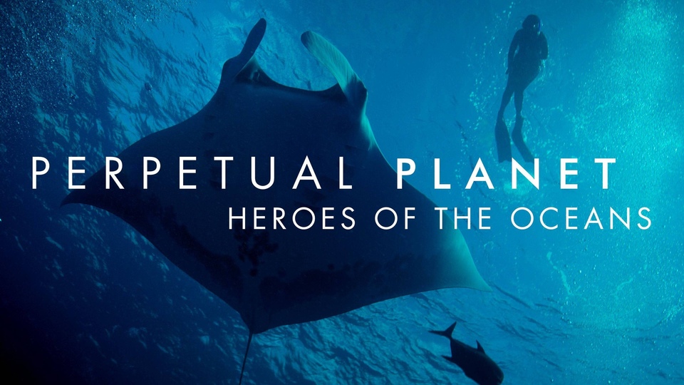 Documentary Perpetual Planet: Heroes of the Oceans