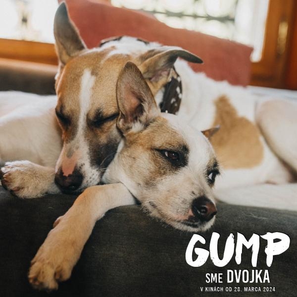 Gump - jsme dvojka