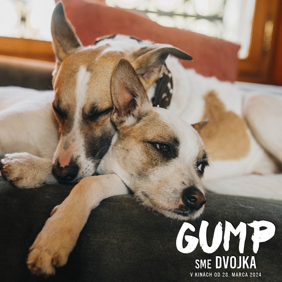Film Gump - jsme dvojka