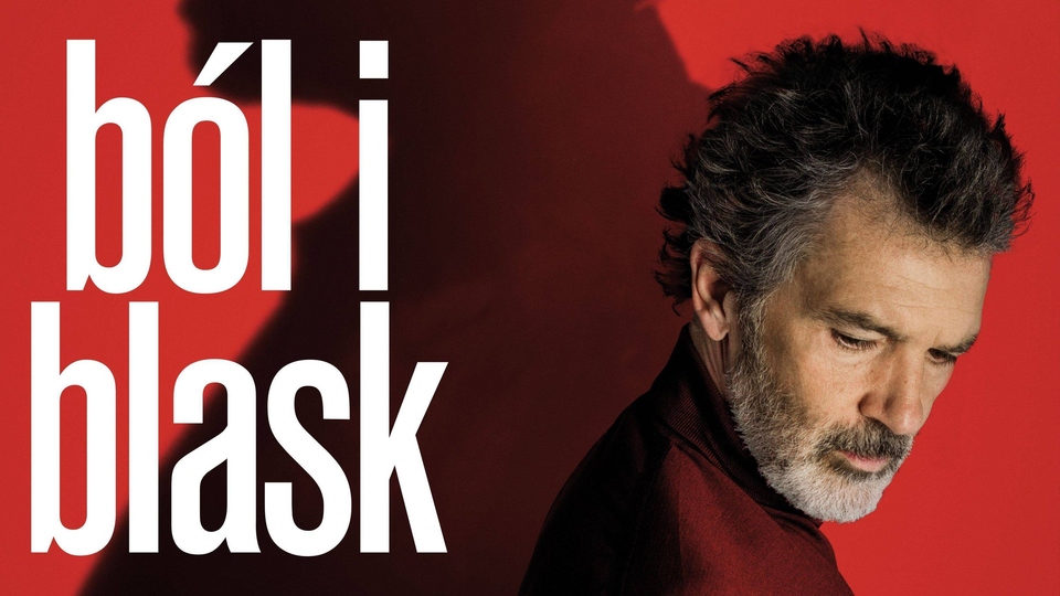 Najlepsze oskarowe filmy i czeski lew z roku 2019 online